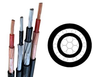 concentrico cable