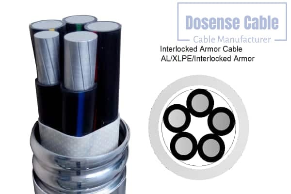 Intertwined Armored Cable